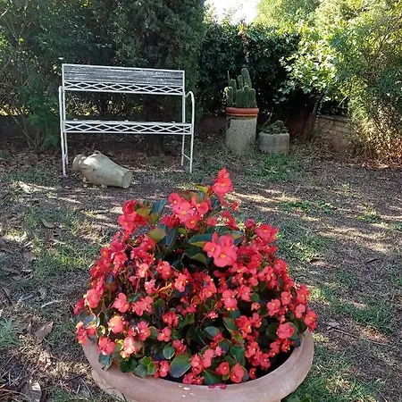 Il Poggio