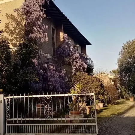 Il Poggio 무를로