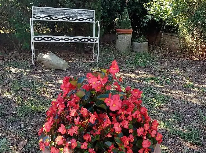 Il Poggio
